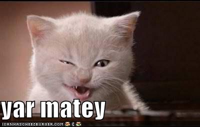 Cats